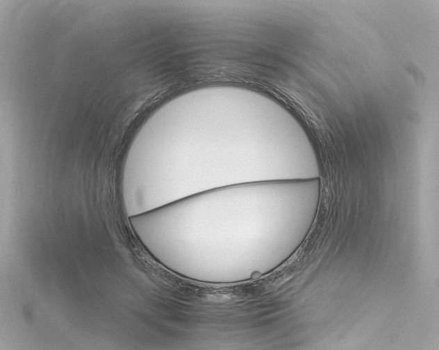 X0000116330547200912011007