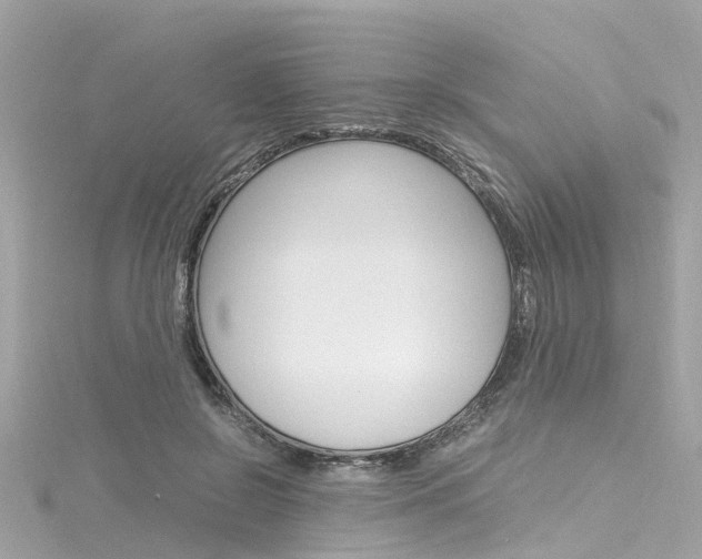 X0000116330550200912011007