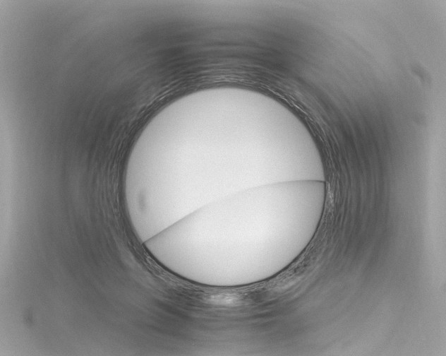X0000116330551200912011007