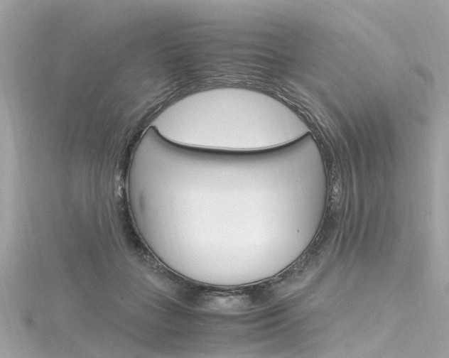 X0000116330555200912011007