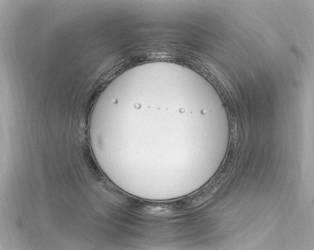 X0000116330557200912011007