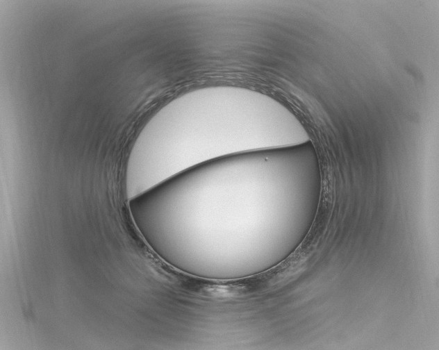 X0000116330558200912011007