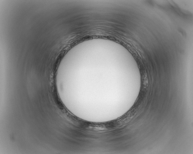 X0000116330559200912011007