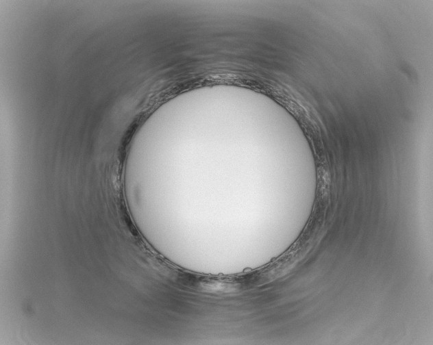 X0000116330561200912011007