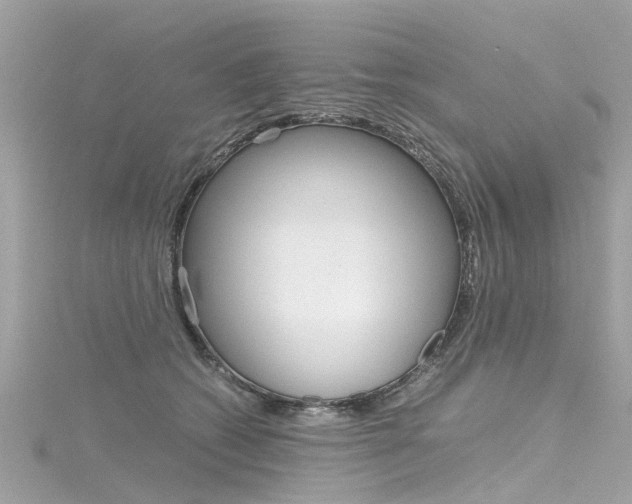 X0000116330562200912011007