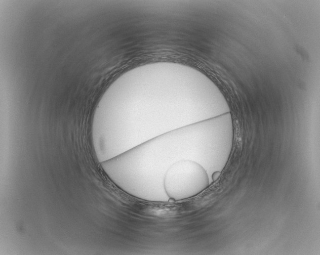 X0000116330563200912011007