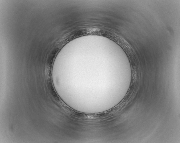 X0000116330565200912011007