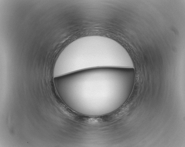 X0000116330566200912011007