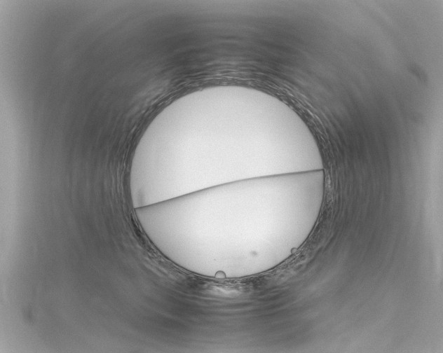 X0000116330567200912011007