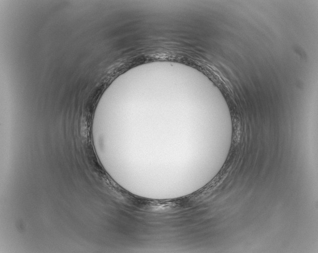 X0000116330569200912011007