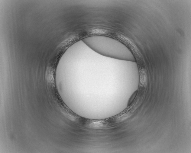 X0000116330573200912011007