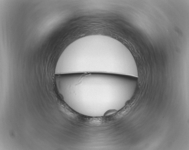 X0000116330574200912011007