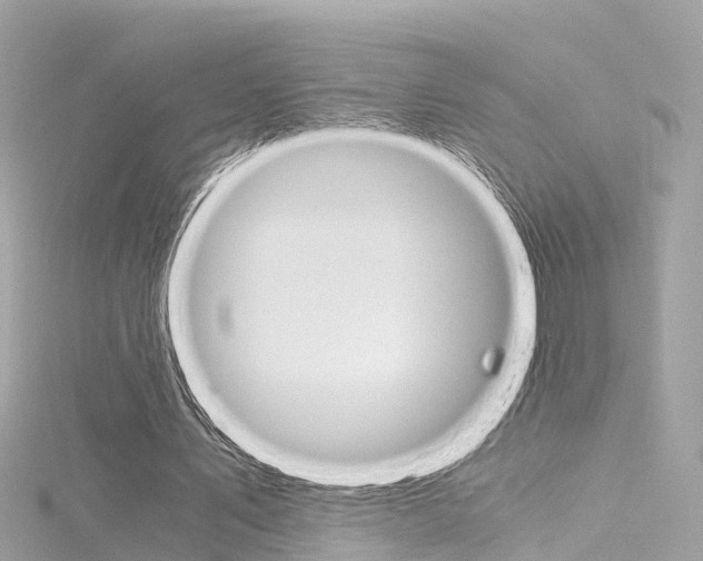 X0000116330579200912011007