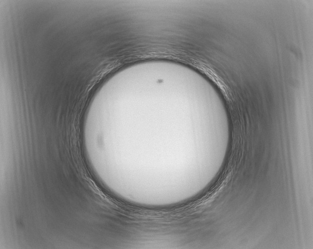 X0000116330585200912011007