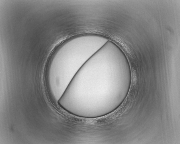 X0000116330587200912011007