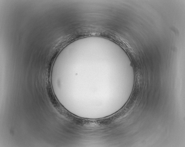 X0000116330594200912011007