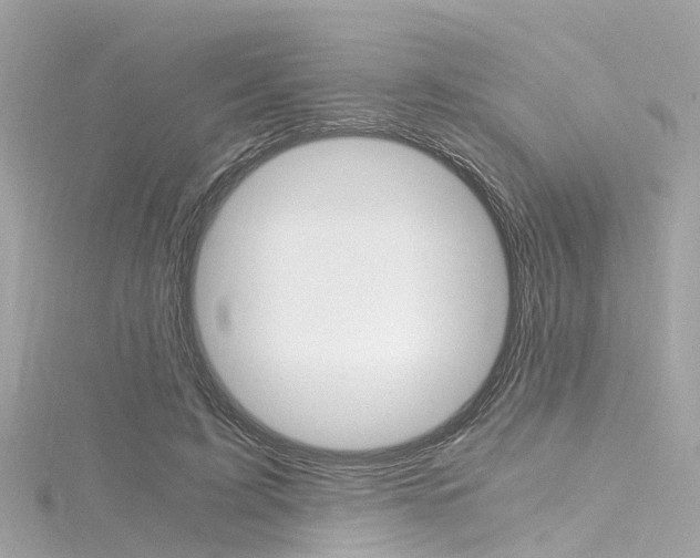 X0000116330595200912011007