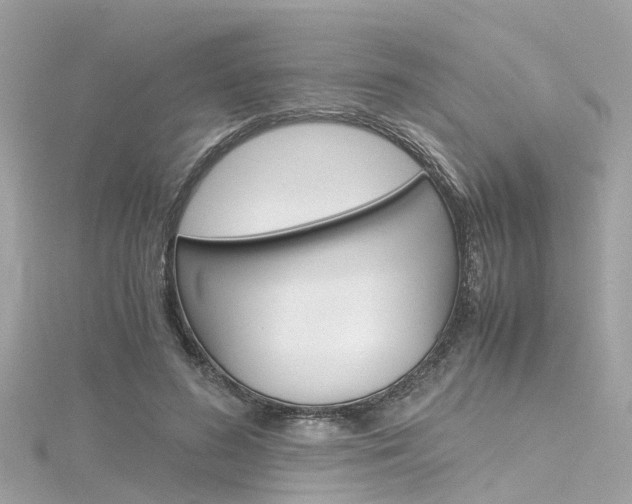 X0000116330596200912011007
