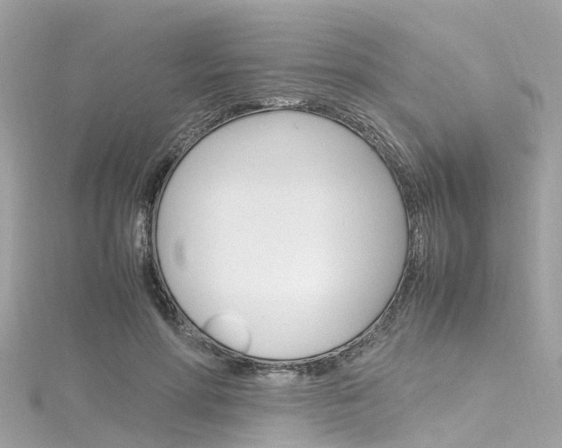 X0000116330598200912011007