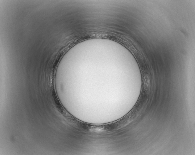 X0000116330602200912011007