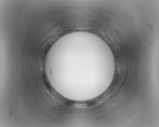X0000116330606200912011006
