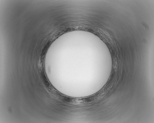 X0000116330607200912011006