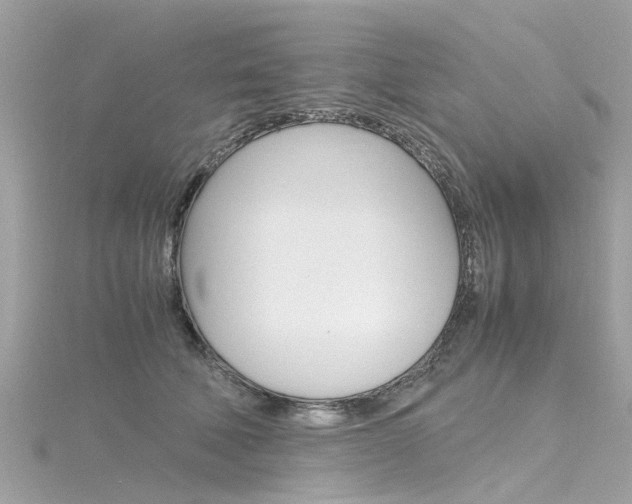 X0000116330610200912011006