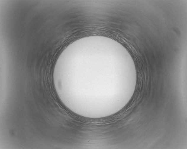 X0000116330613200912011006
