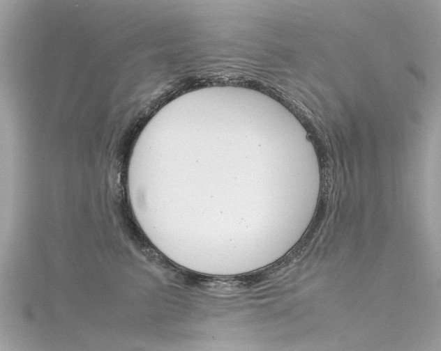 X0000116330615200912011006