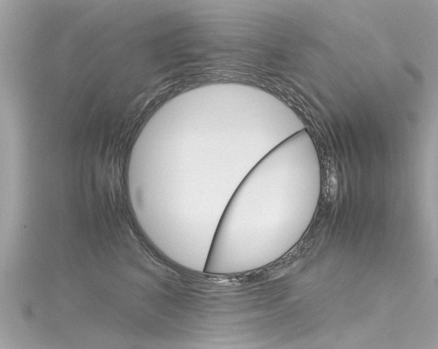 X0000116330616200912011006