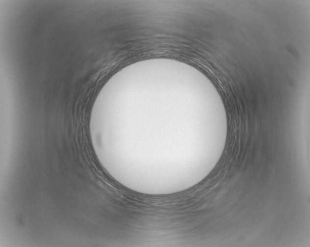 X0000116330617200912011006