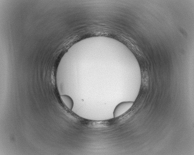 X0000116330622200912011006