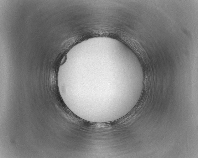 X0000116330623200912011006