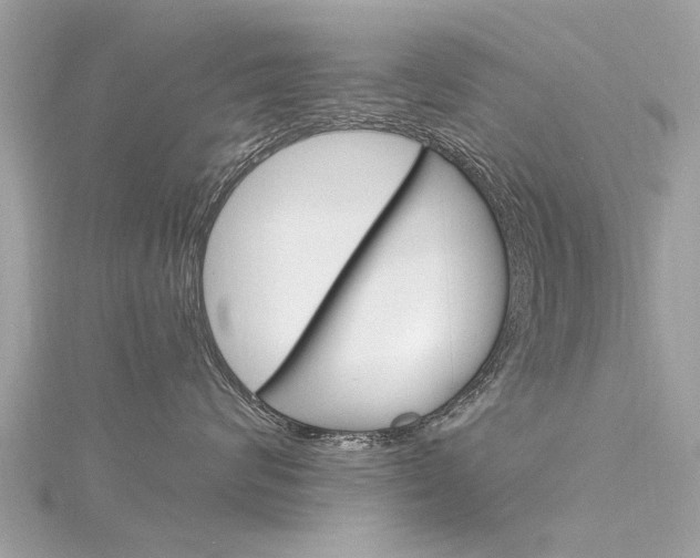X0000116330624200912011006