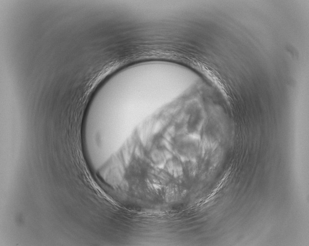 X0000116330625200912011006