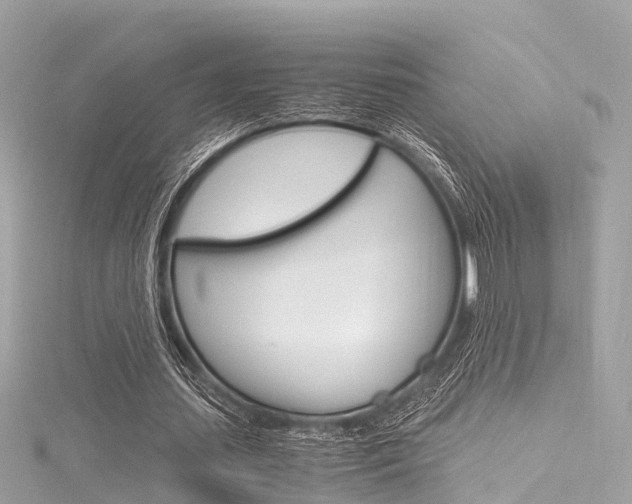 X0000116330627200912011006
