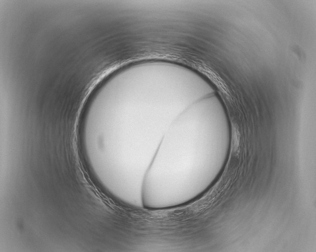 X0000116330628200912011006