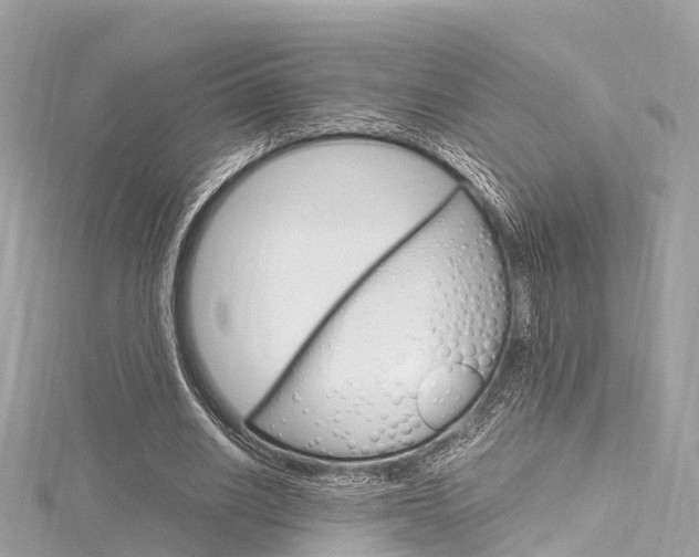 X0000116330630200912011006