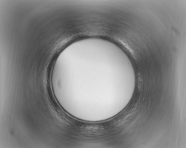 X0000116330631200912011006