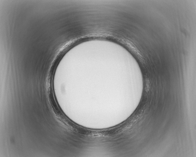 X0000116330632200912011006