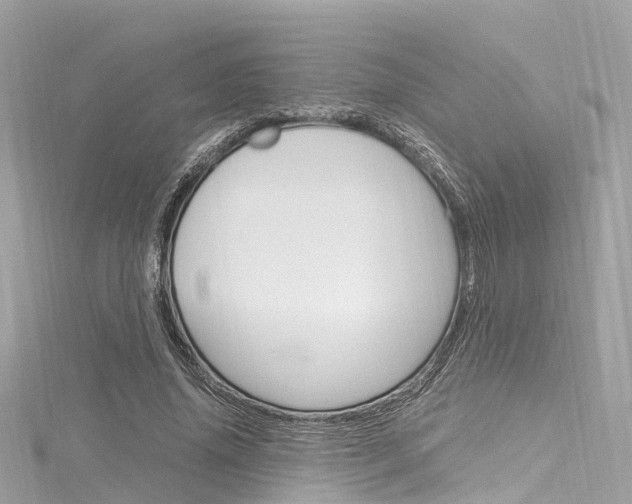 X0000116330636200912011006