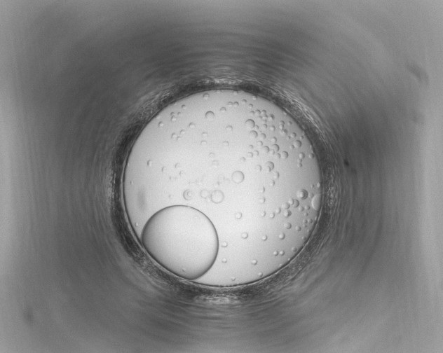 X0000116330639200912011006