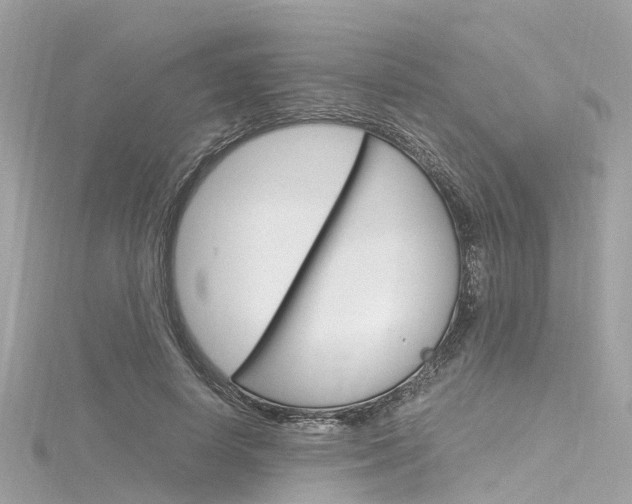 X0000116330642200912011006