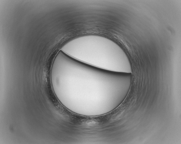 X0000116330643200912011006