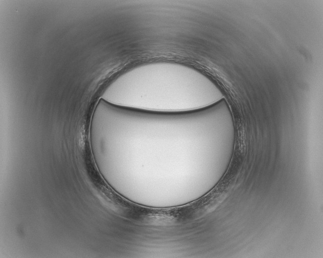 X0000116330644200912011006