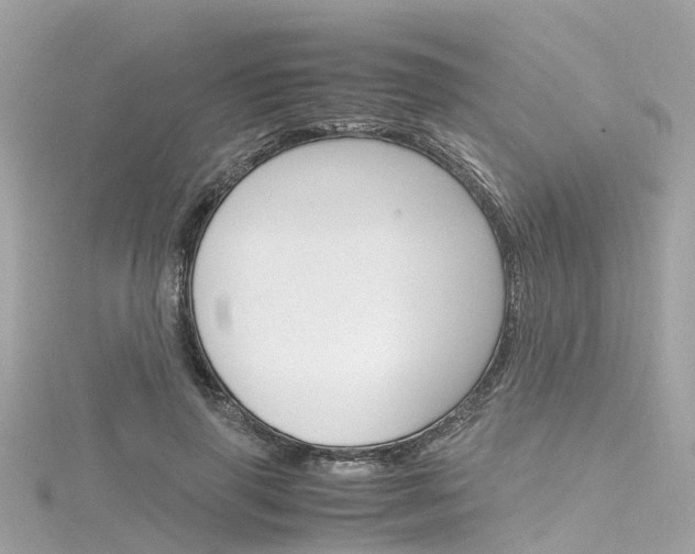 X0000116330645200912011006