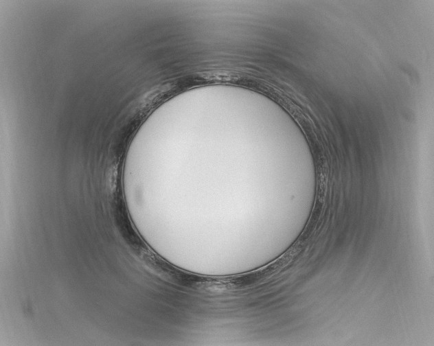 X0000116330652200912011006
