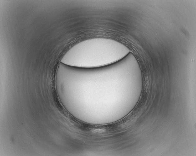 X0000116330653200912011006