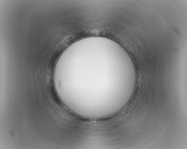 X0000116330656200912011006