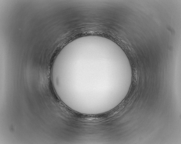 X0000116330657200912011006